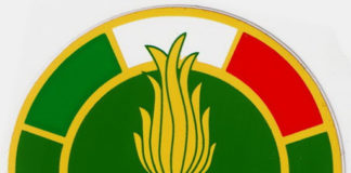 guardia di finanza logo