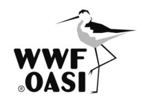 logo oasi wwf