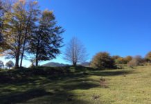 altopiano campitello di sepino 02