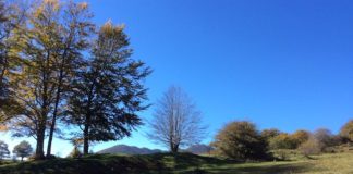 Sepino tra i 20 Paesi più belli d’Italia 2026 secondo Skyscanner altopiano campitello di sepino 02