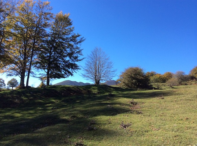 altopiano campitello di sepino 02