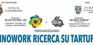 cinowork ricerca su tartufo 2 agosto 2020