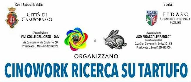 cinowork ricerca su tartufo 2 agosto 2020