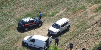 Piantagione di marijuana sequestrata a San Martino in Pensilis