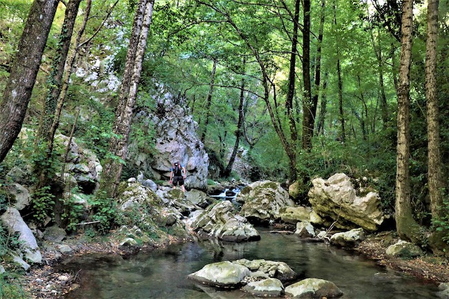 torrente lorda