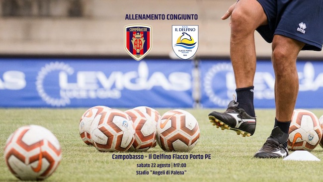 allenamento congiunto