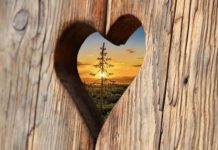 cuore legno