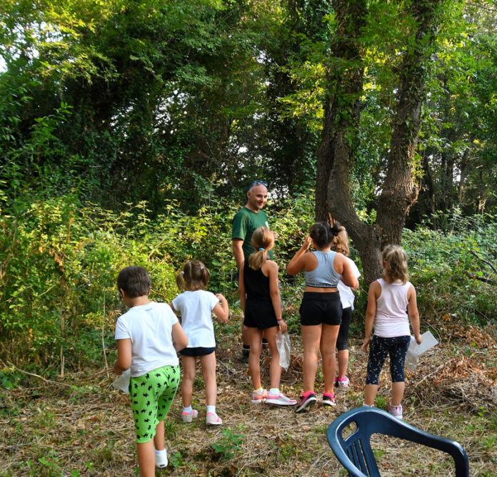 Ci Sono Andata Apposta Nel Bosco