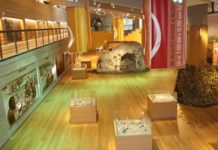 museo paleolitico isernia