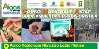 corso guida ambientale