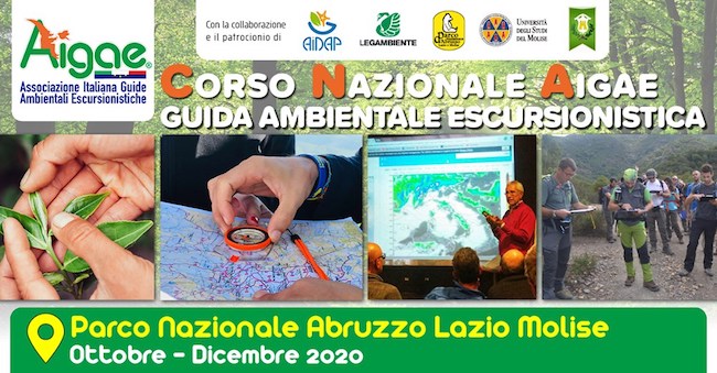 corso guida ambientale