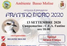 fratino d'oro 2020