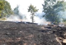 incendio boschivo cercemaggiore