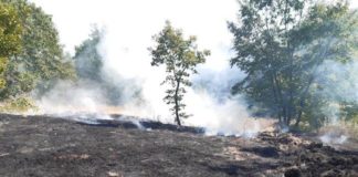 incendio boschivo cercemaggiore