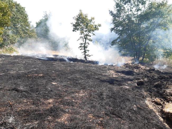 incendio boschivo cercemaggiore