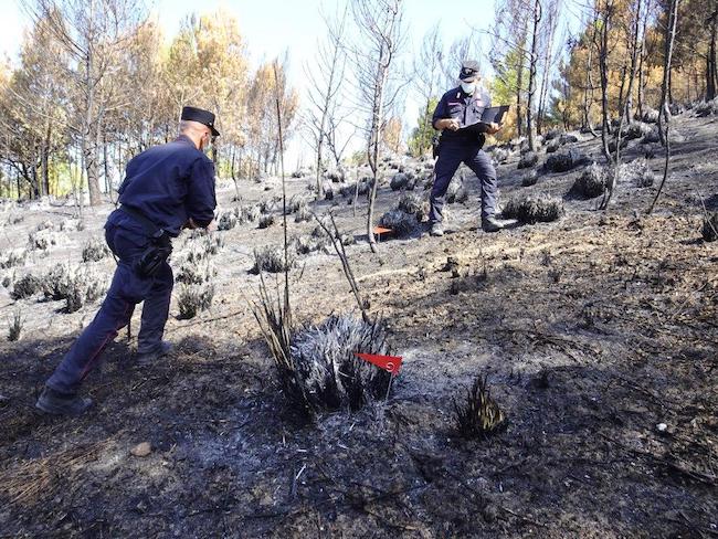 intervento incendio boschivo cercemaggiore