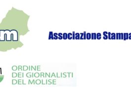 asm odg molise