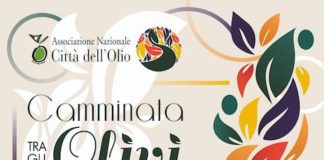 camminata tra gli olivi 2020