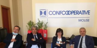 confcooperative molise