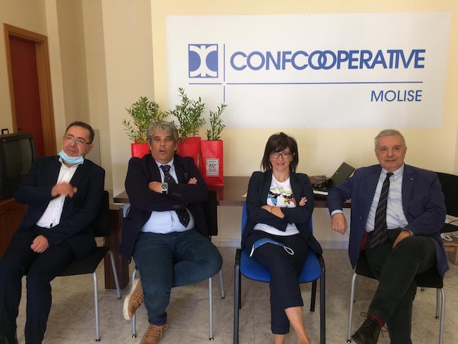 confcooperative molise