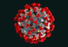 coronavirus