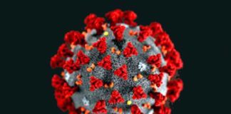 coronavirus