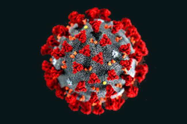 coronavirus