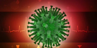 coronavirus