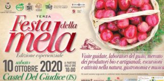 festa della mela 2020