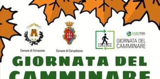 giornata del camminare 2020