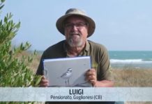Luigi Lucchese - Il mio senso civico è