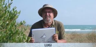Luigi Lucchese - Il mio senso civico è