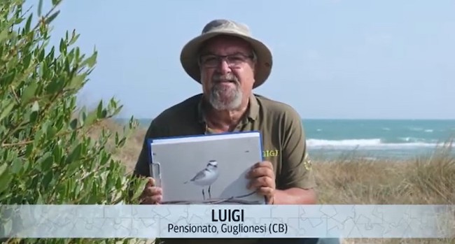 Luigi Lucchese - Il mio senso civico è