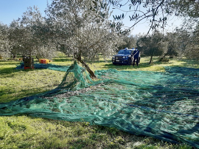 operazione anticaporalato