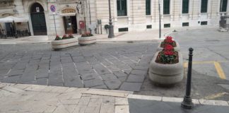 fioriere campobasso 2