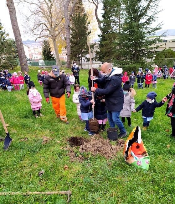 giornata alberi campobasso