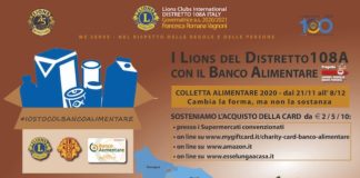 lions colletta alimentare