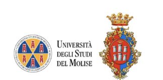 unimol comune campobasso