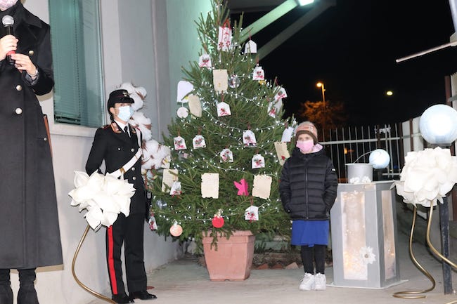 albero cultura e legalita larino