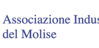 associazione industriali molise