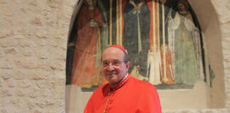 cardinale giuseppe petrocchi