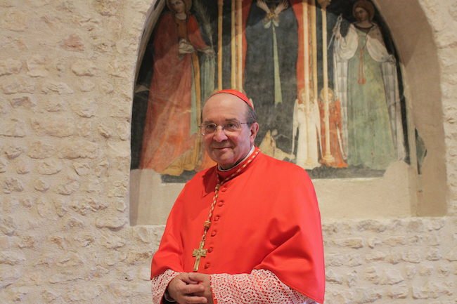 cardinale giuseppe petrocchi