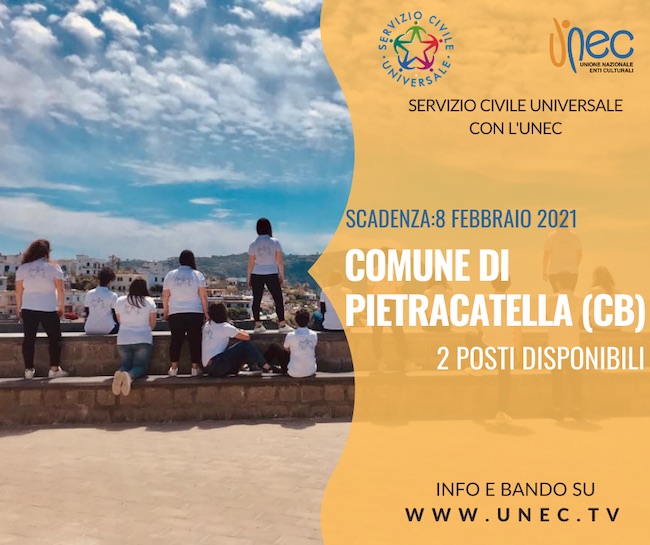 lavoro pietracatella