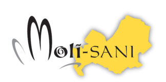 moli-sani