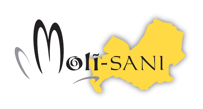 moli-sani