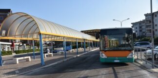 terminal bus termoli