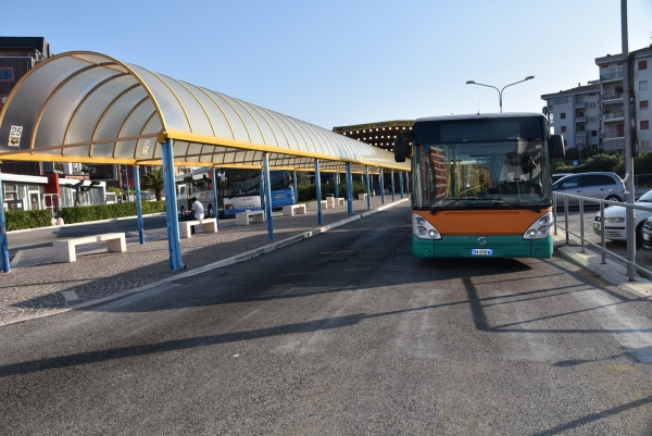 terminal bus termoli