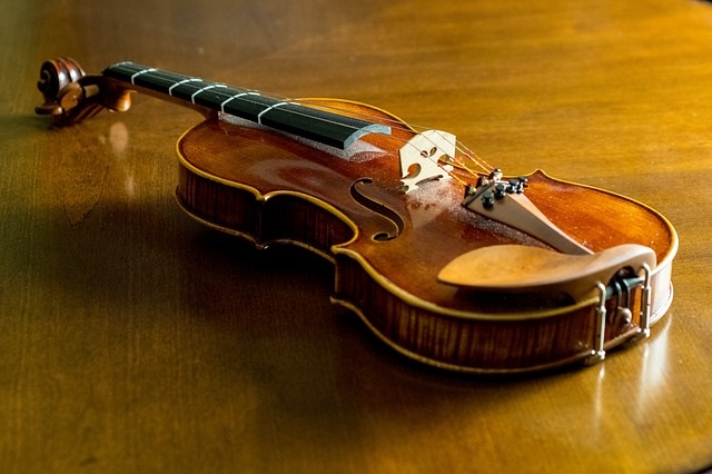 violino