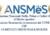 Ansmes