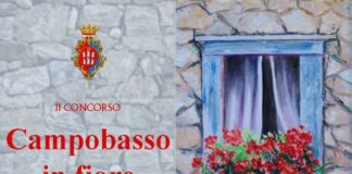 campobasso in fiore 2021